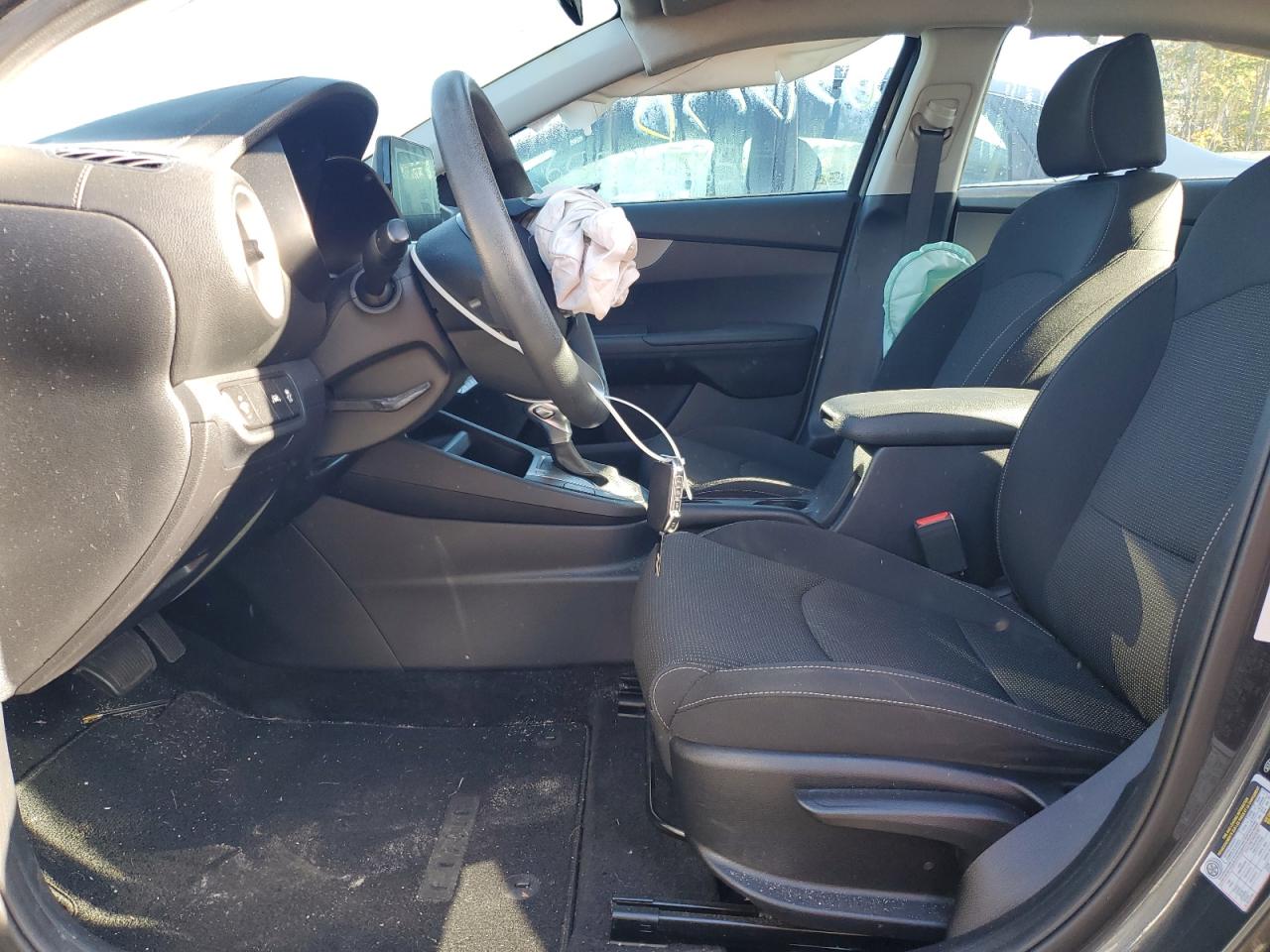 2019 Kia Forte Fe VIN: 3KPF24ADXKE041811 Lot: 83957395