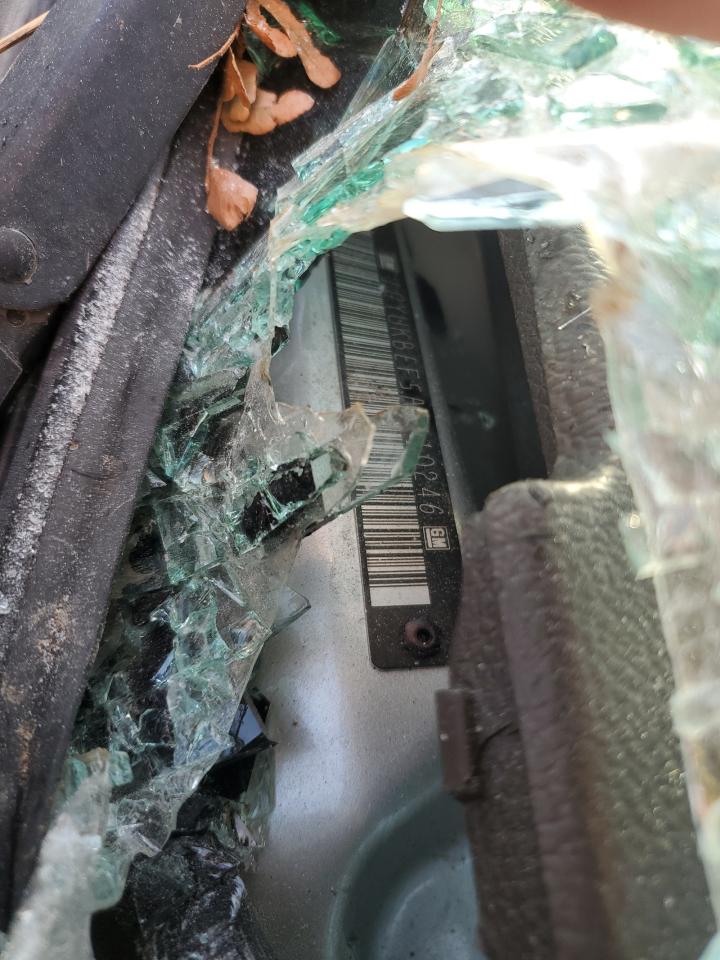 2010 Cadillac Escalade Luxury VIN: 1GYUKBEF5AR110246 Lot: 71695135