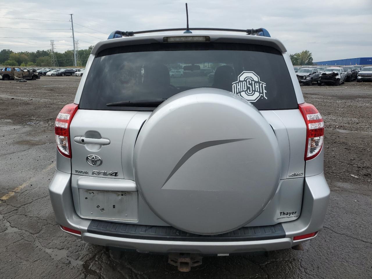 2009 Toyota Rav4 Limited VIN: JTMBF31V39D016668 Lot: 82077995