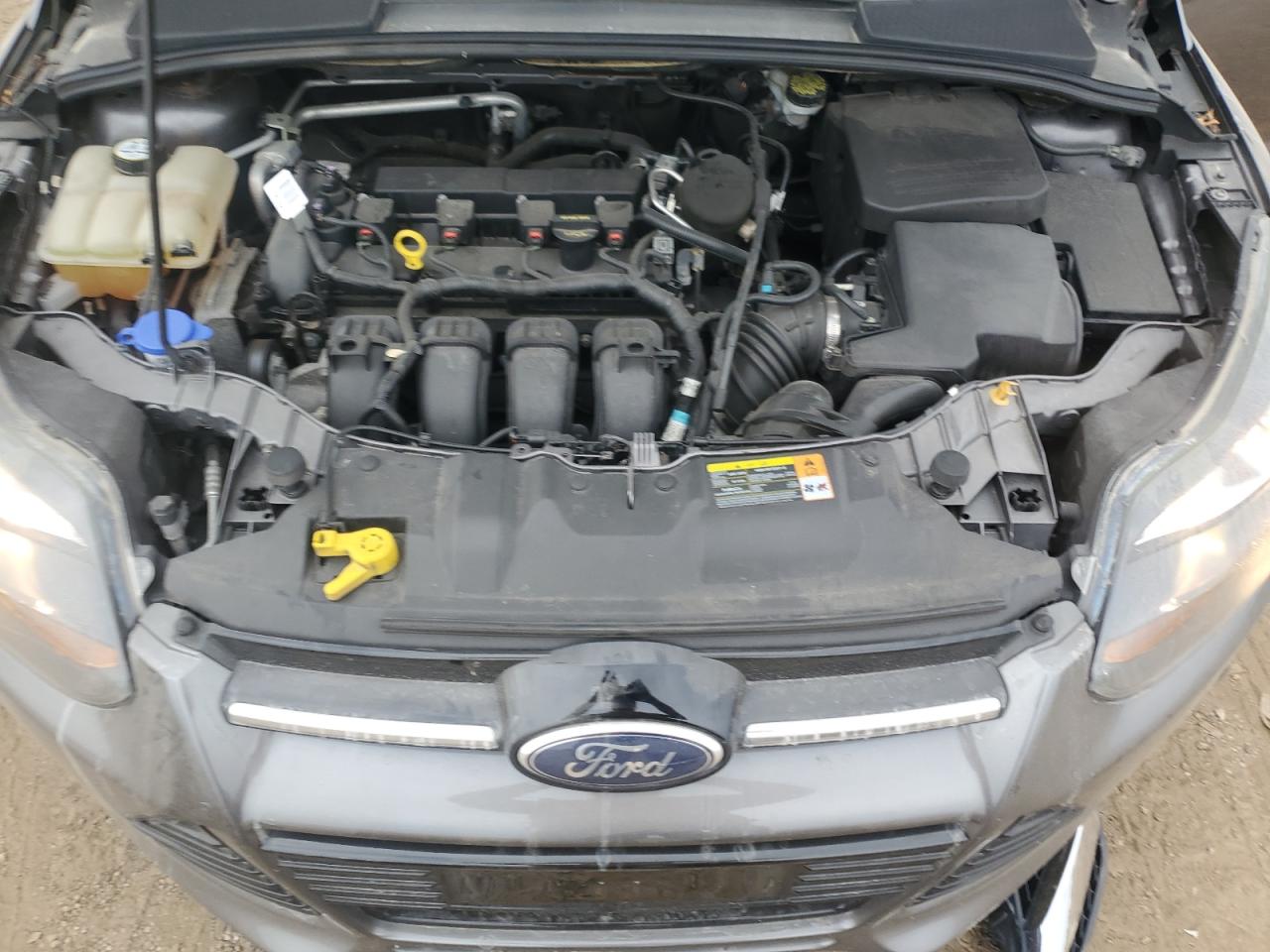 2013 Ford Focus Titanium VIN: 1FADP3N2XDL143007 Lot: 81206935