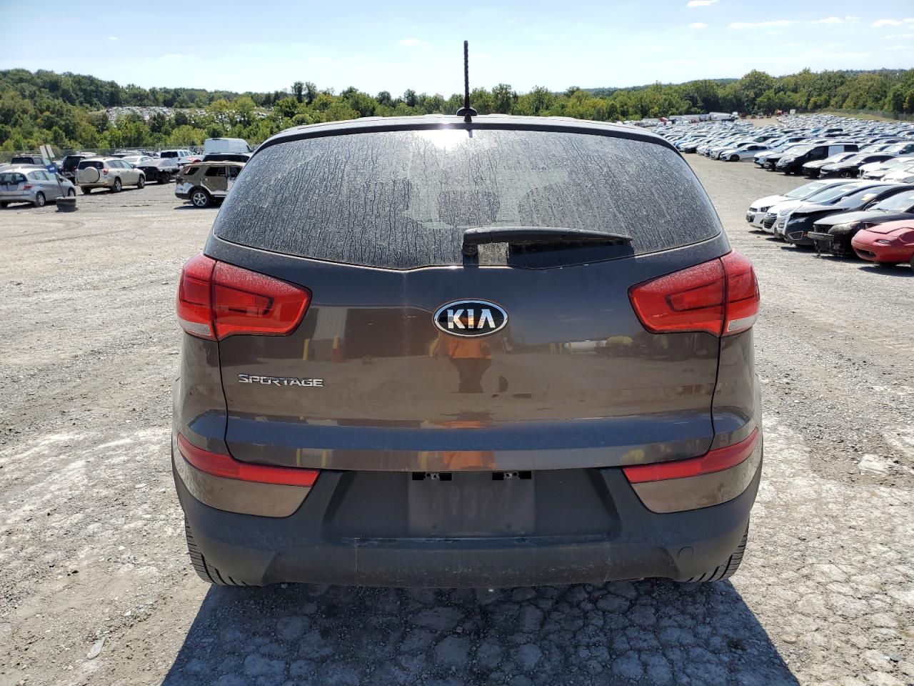 2015 Kia Sportage Lx VIN: KNDPB3AC9F7711568 Lot: 71423255