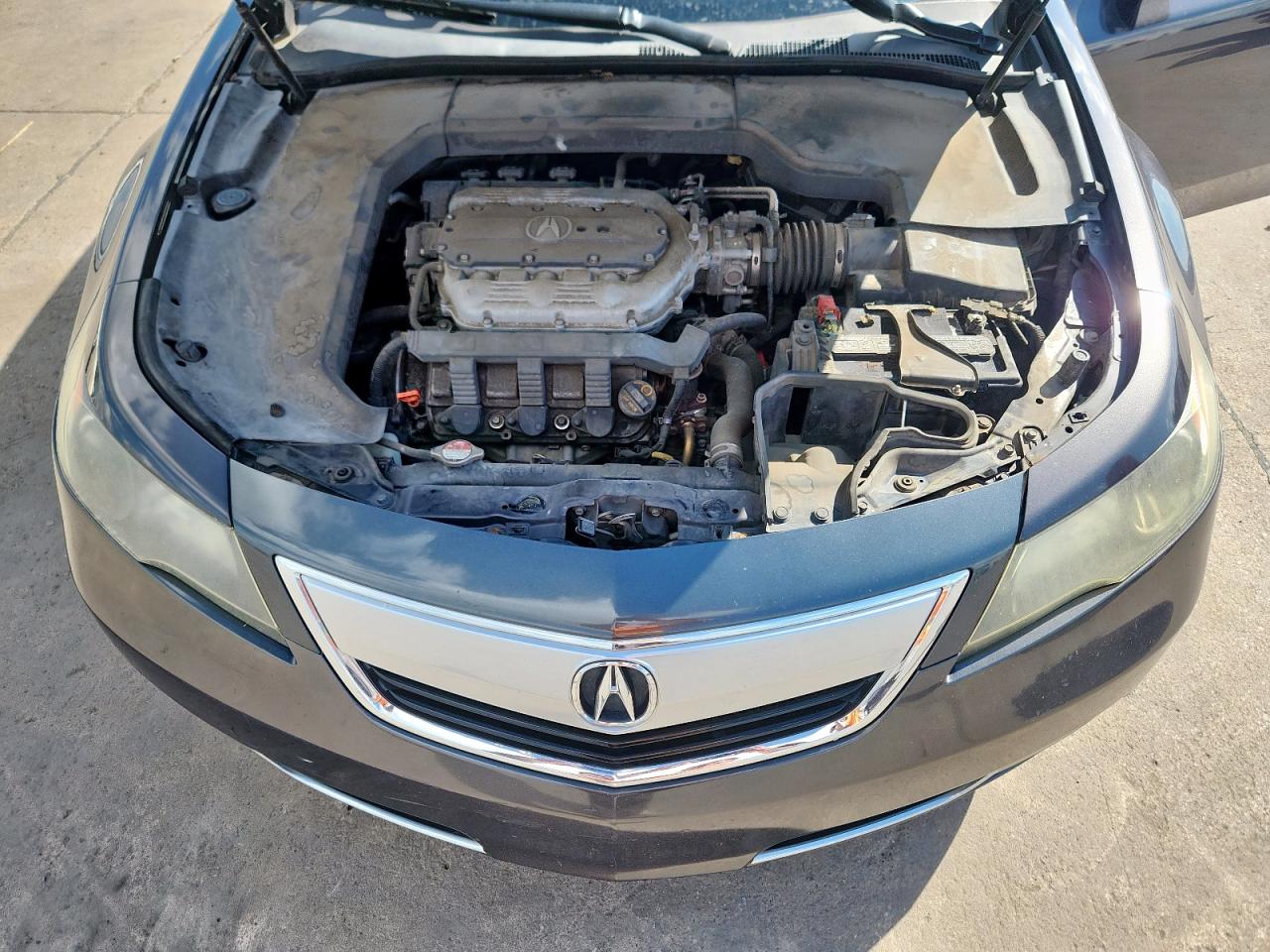 2012 Acura Tl VIN: 19UUA8F5XCA026301 Lot: 81156905