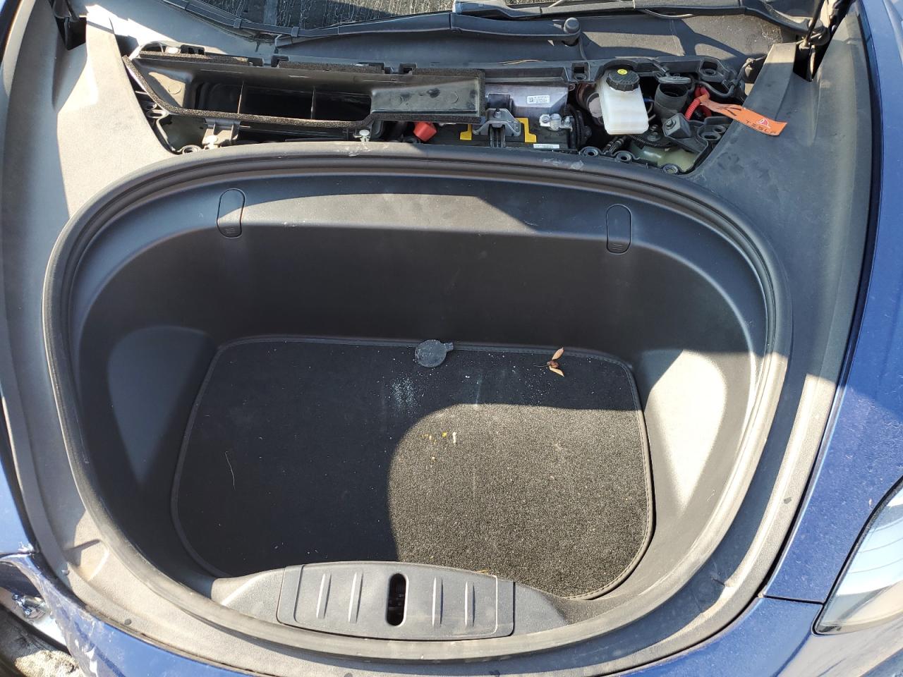 2019 Tesla Model 3 VIN: 5YJ3E1EA9KF326289 Lot: 81006275