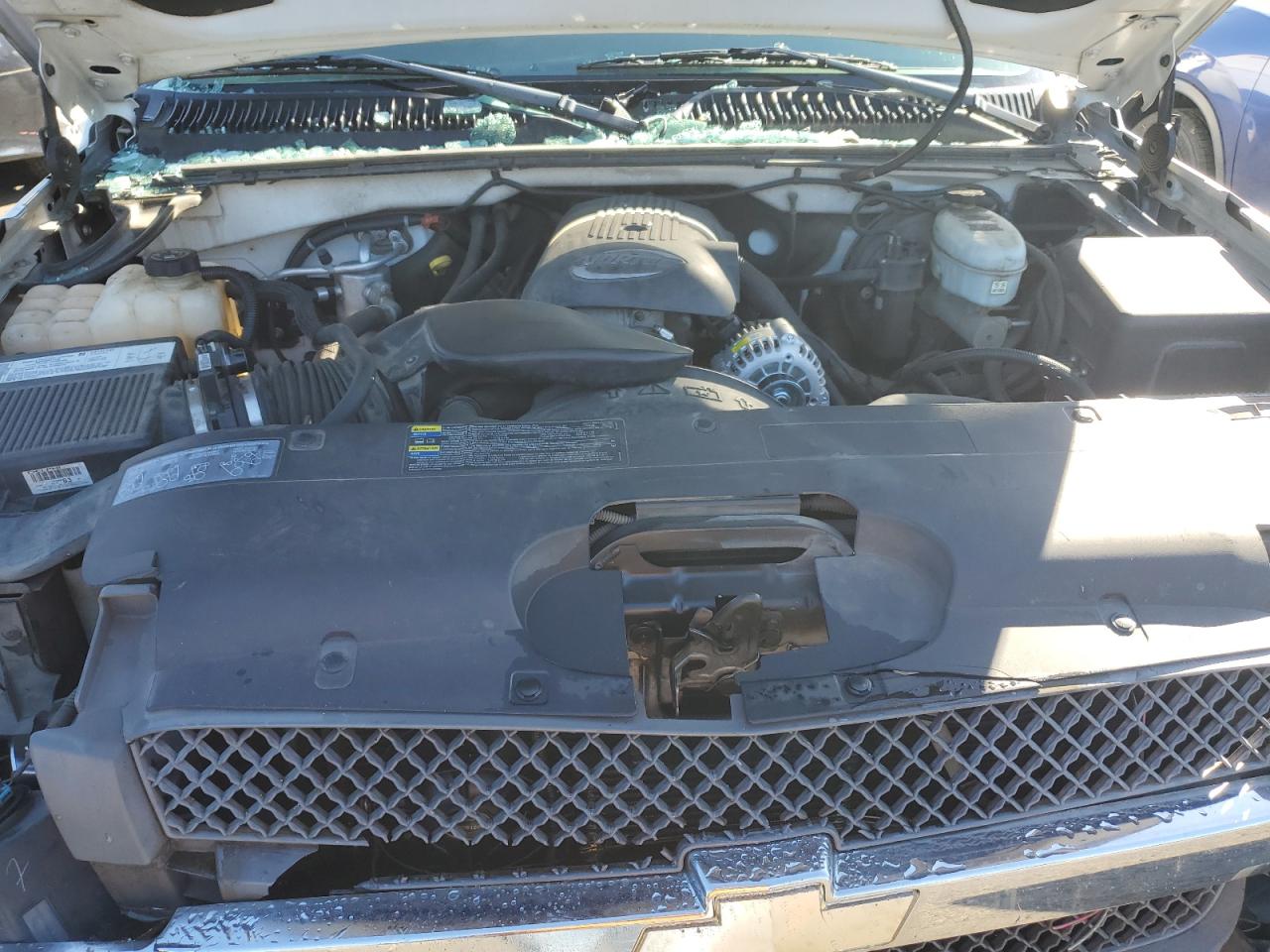 2004 Chevrolet Silverado K1500 VIN: 1GCEK19V64Z303144 Lot: 84646535