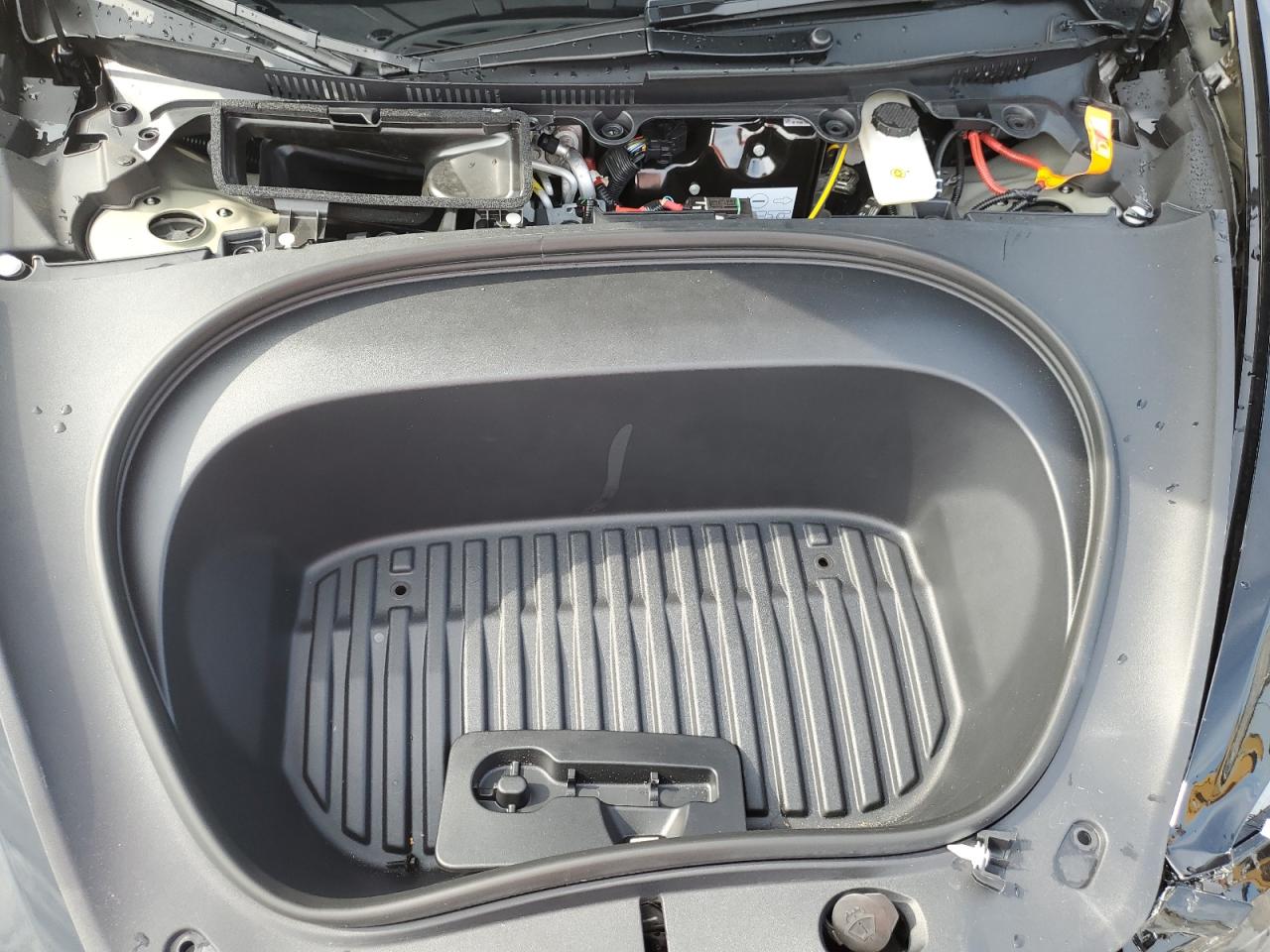 2025 Tesla Model 3 VIN: 5YJ3E1EA6SF969568 Lot: 71999345