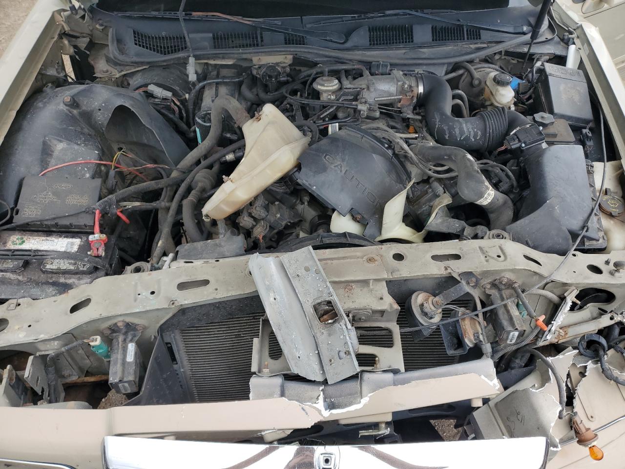 1996 Lincoln Town Car Signature VIN: 1LNLM82W4TY607103 Lot: 81811565