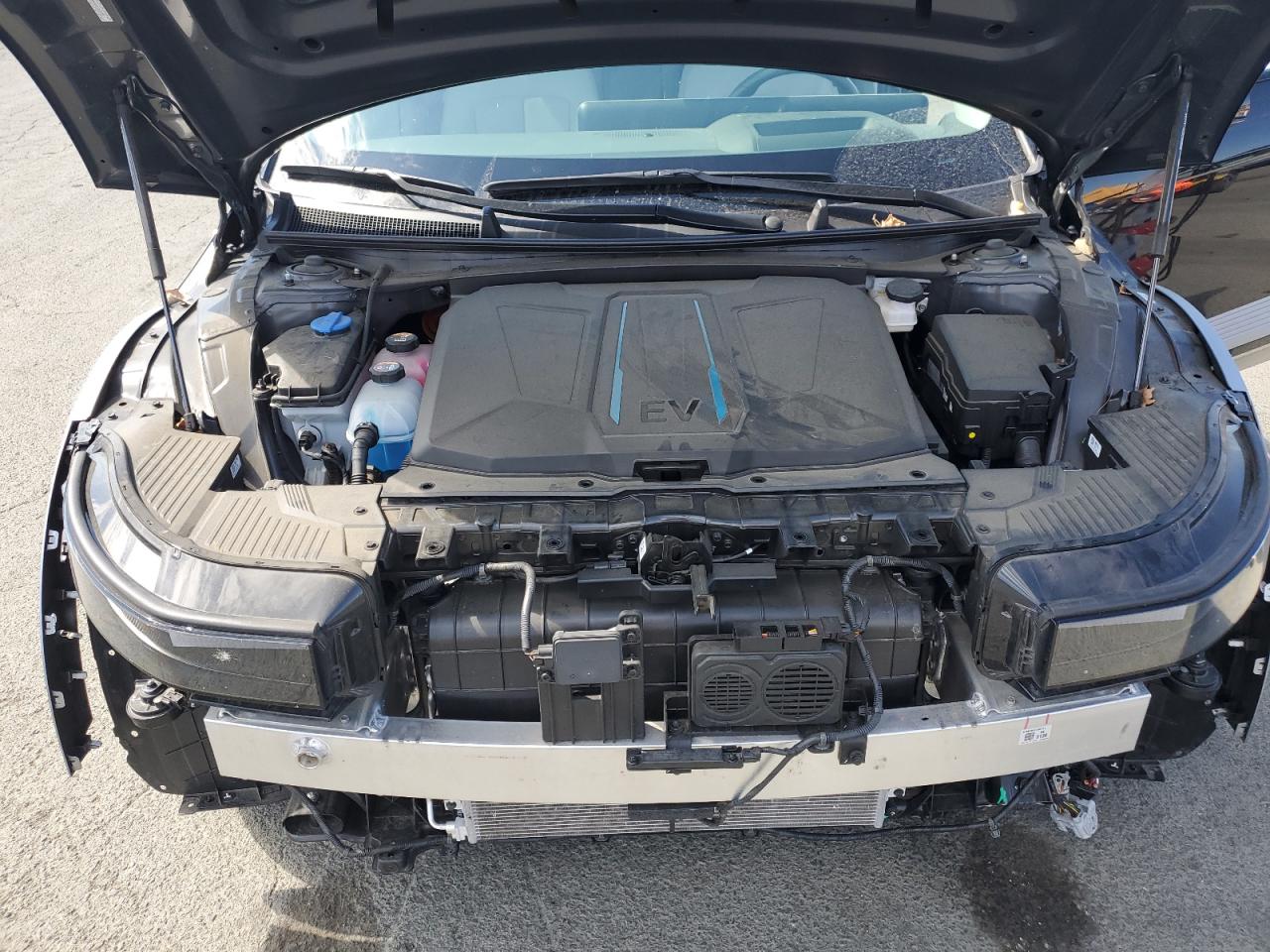 2024 Hyundai Ioniq 5 Limited VIN: KM8KR4DE1RU253311 Lot: 81856255