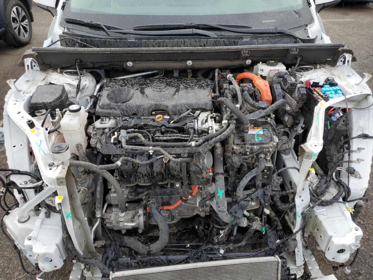 2021 Toyota Rav4 Xle VIN: 4T3RWRFV0MU048886 Lot: 81339645