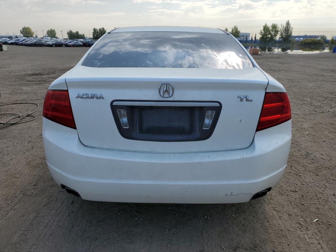 2006 Acura 3.2Tl VIN: 19UUA662X6A804031 Lot: 80606945