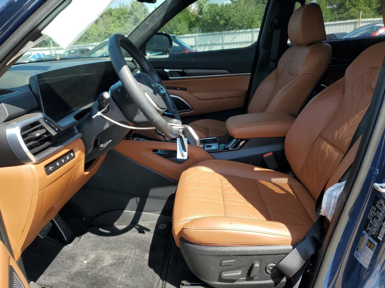 2025 Kia Telluride Sx VIN: 5XYP5DGC0SG586770 Lot: 71304765