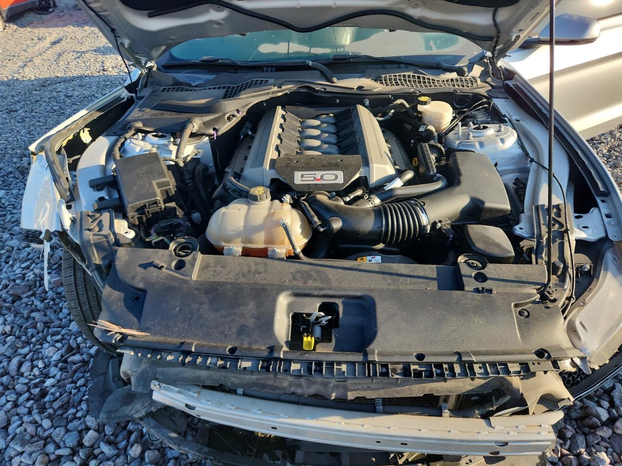 2016 Ford Mustang Gt VIN: 1FA6P8CF3G5275725 Lot: 81235355