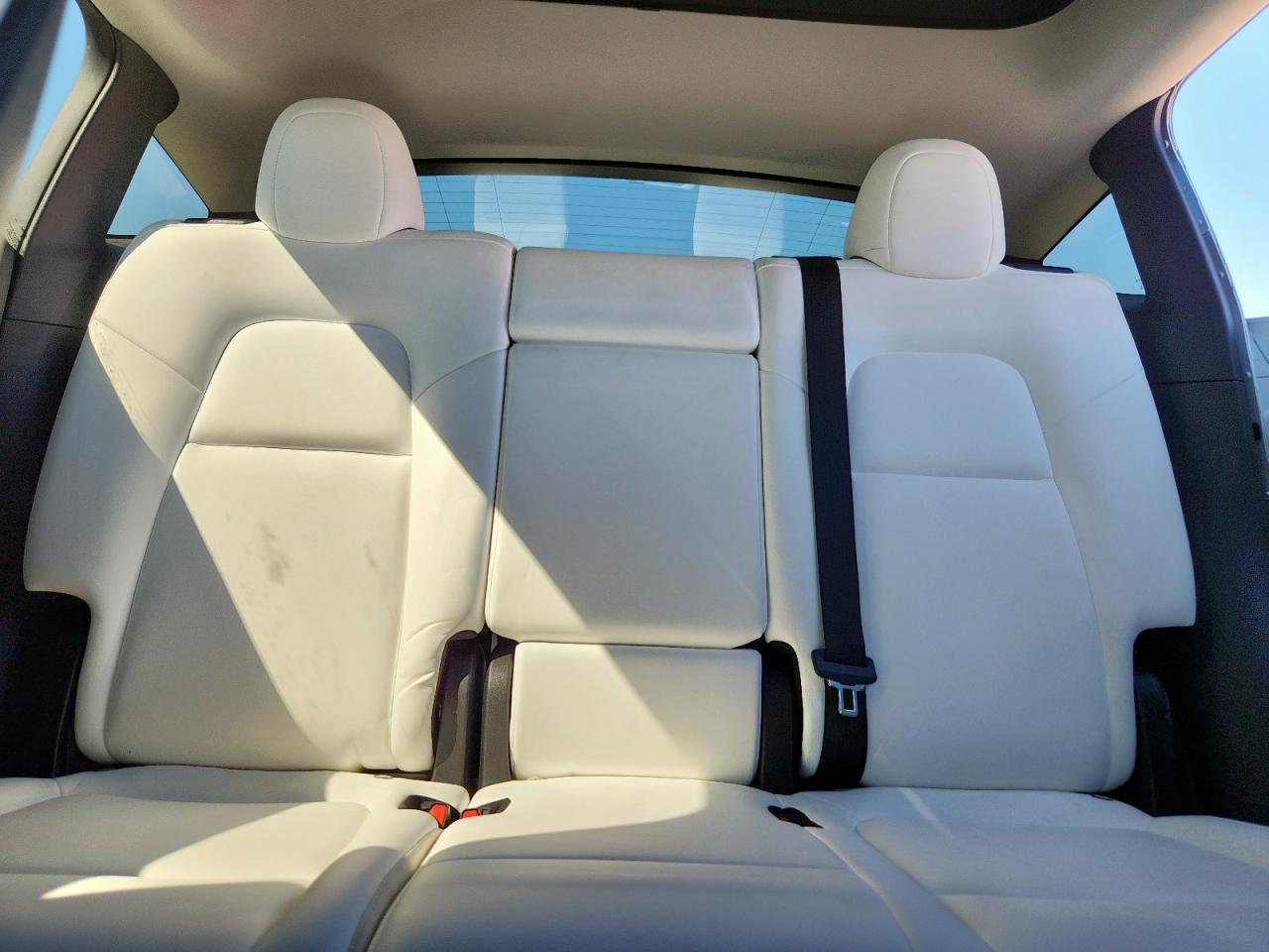 2024 Tesla Model Y VIN: 7SAYGAEE0RF062444 Lot: 70817075