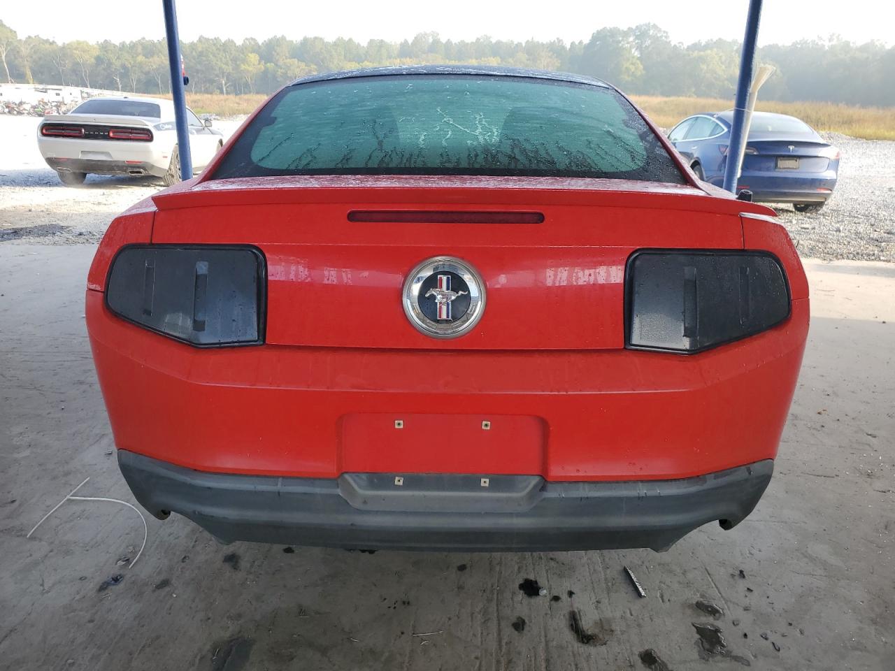 2011 Ford Mustang VIN: 1ZVBP8AM8B5144645 Lot: 81074955