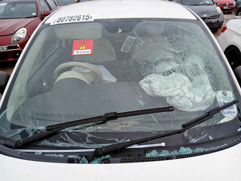 2013 FIAT 500 1.2 POP 3DR [START STOP]