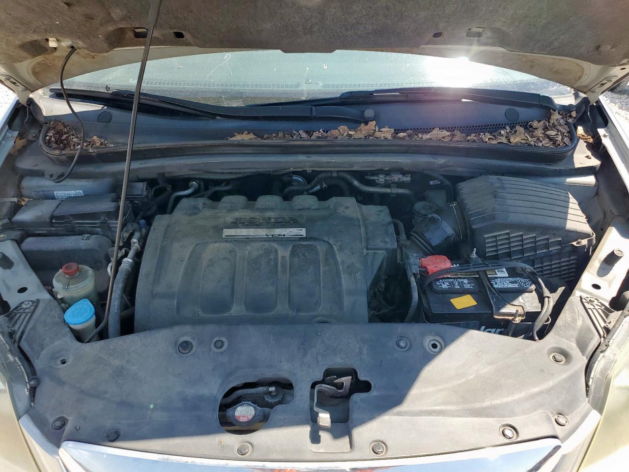 2005 Honda Odyssey Exl VIN: 5FNRL38785B056634 Lot: 71490825