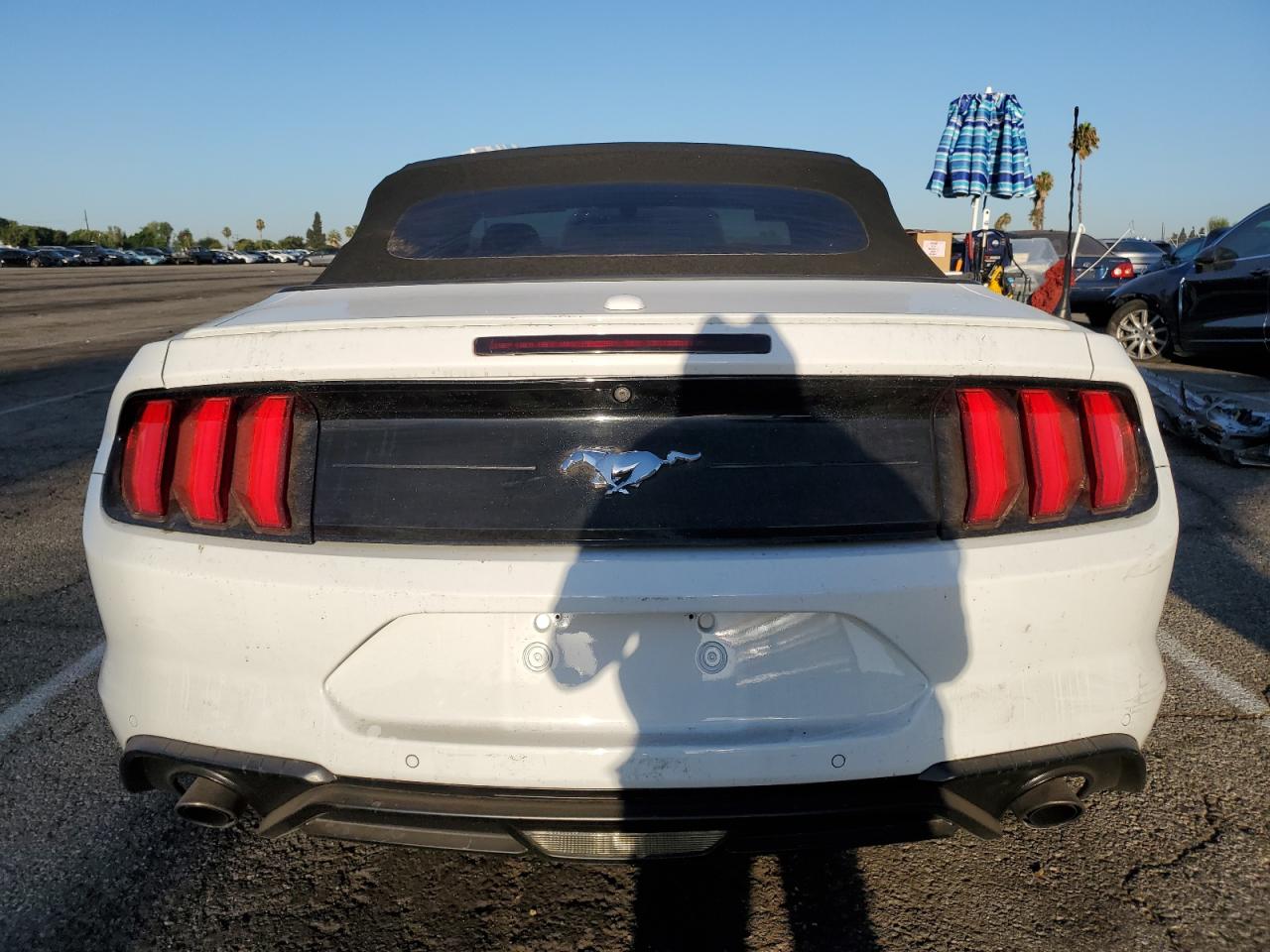 2019 Ford Mustang VIN: 1FATP8UH2K5138514 Lot: 70894795