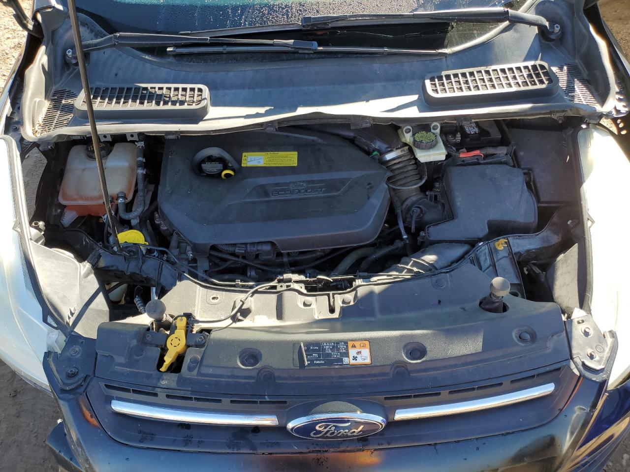 2014 Ford Escape Se VIN: 1FMCU0GX8EUB61437 Lot: 81767645