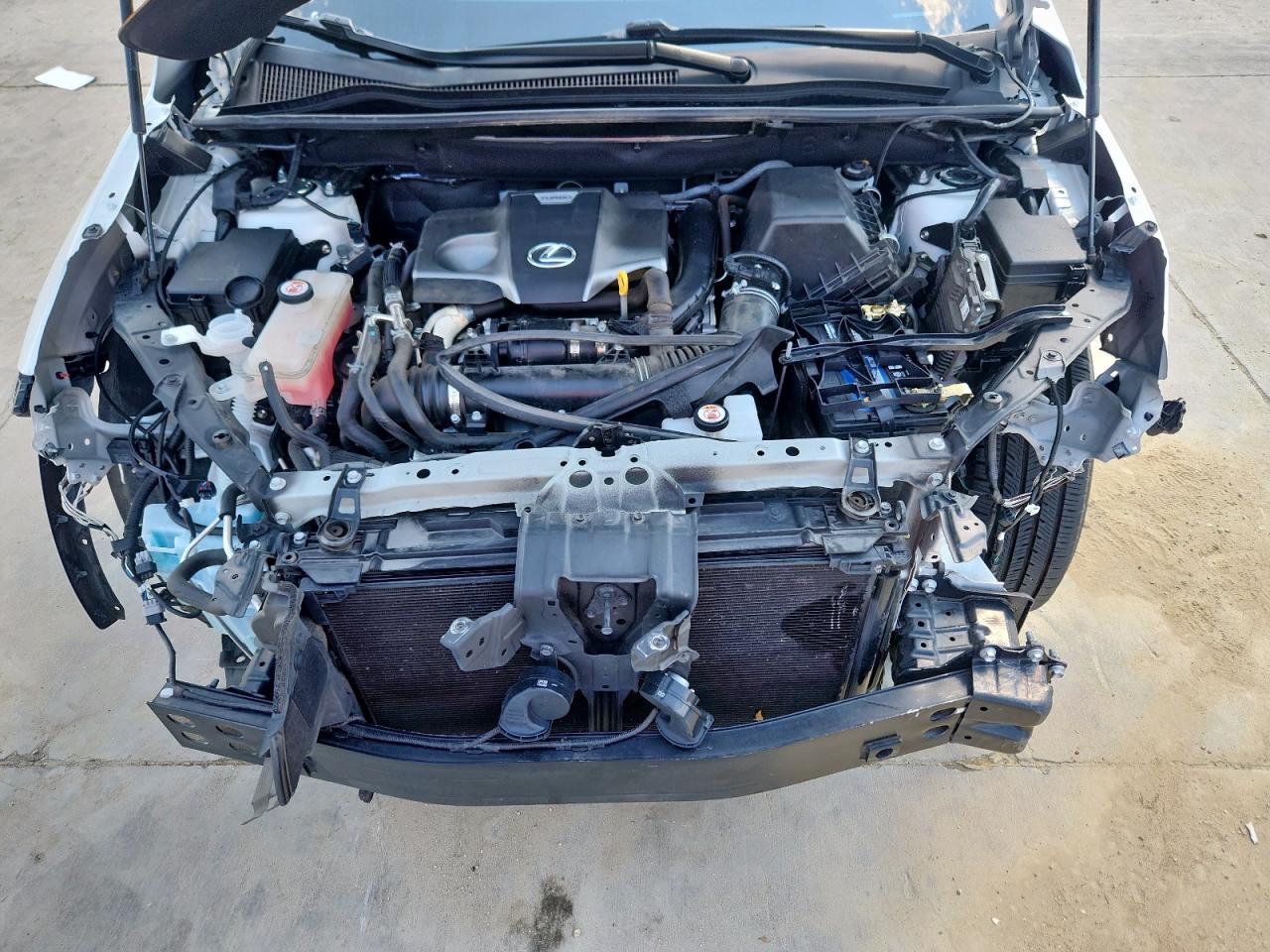 2020 Lexus Nx 300 VIN: JTJDARBZ8L5011587 Lot: 80911765