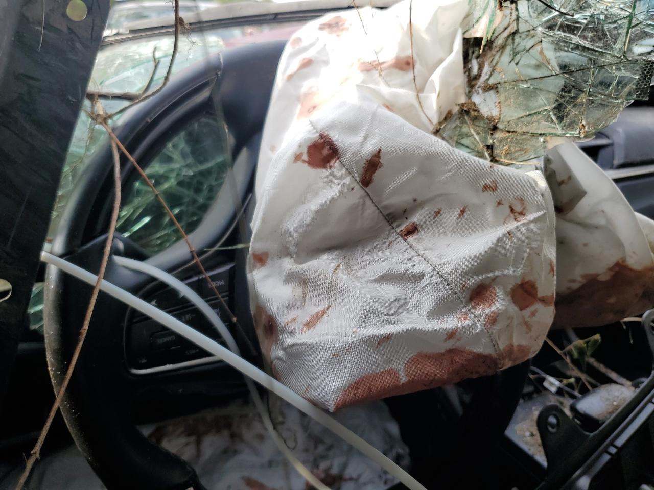 2020 Lexus Es 350 Luxury VIN: 58AEZ1B15LU070621 Lot: 83785475