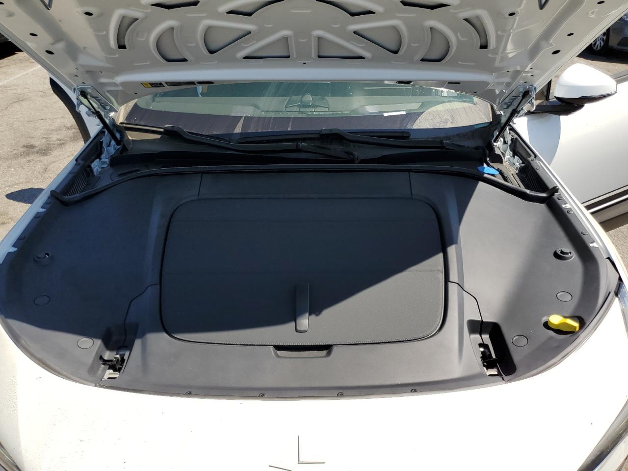 2025 Polestar 3 VIN: 7SYEE3YB9SG027344 Lot: 80288585