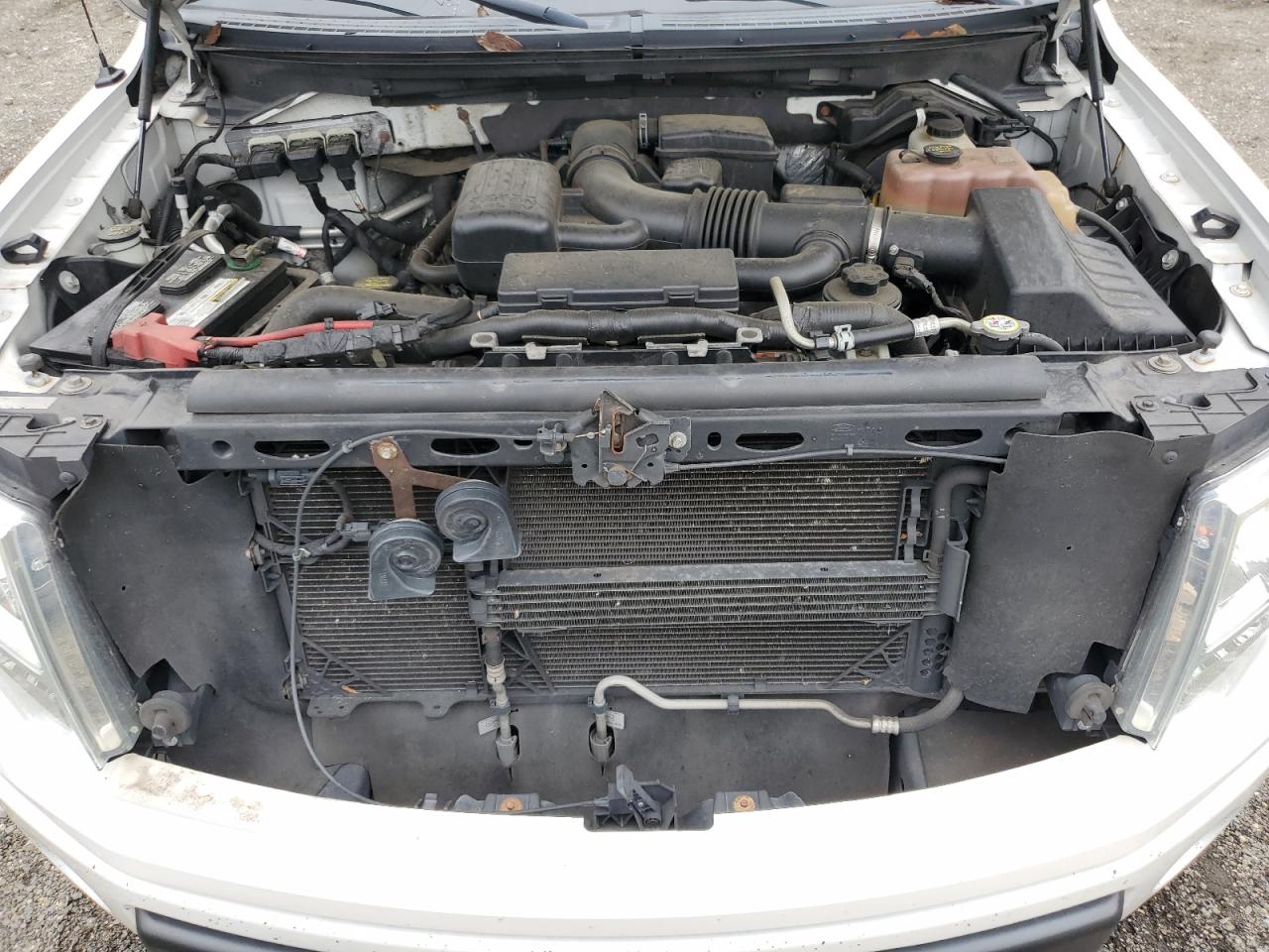 2010 Ford F150 Supercrew VIN: 1FTFW1EV1AFB60843 Lot: 84616975