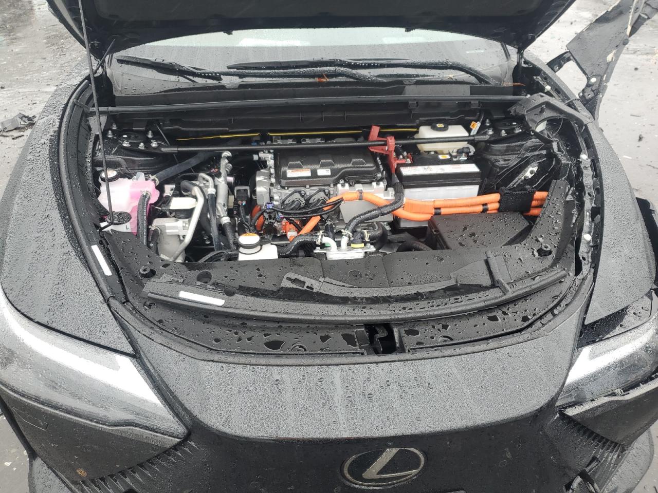 2025 Lexus Rz 450E VIN: JTJAAAAB9SA030907 Lot: 81015105