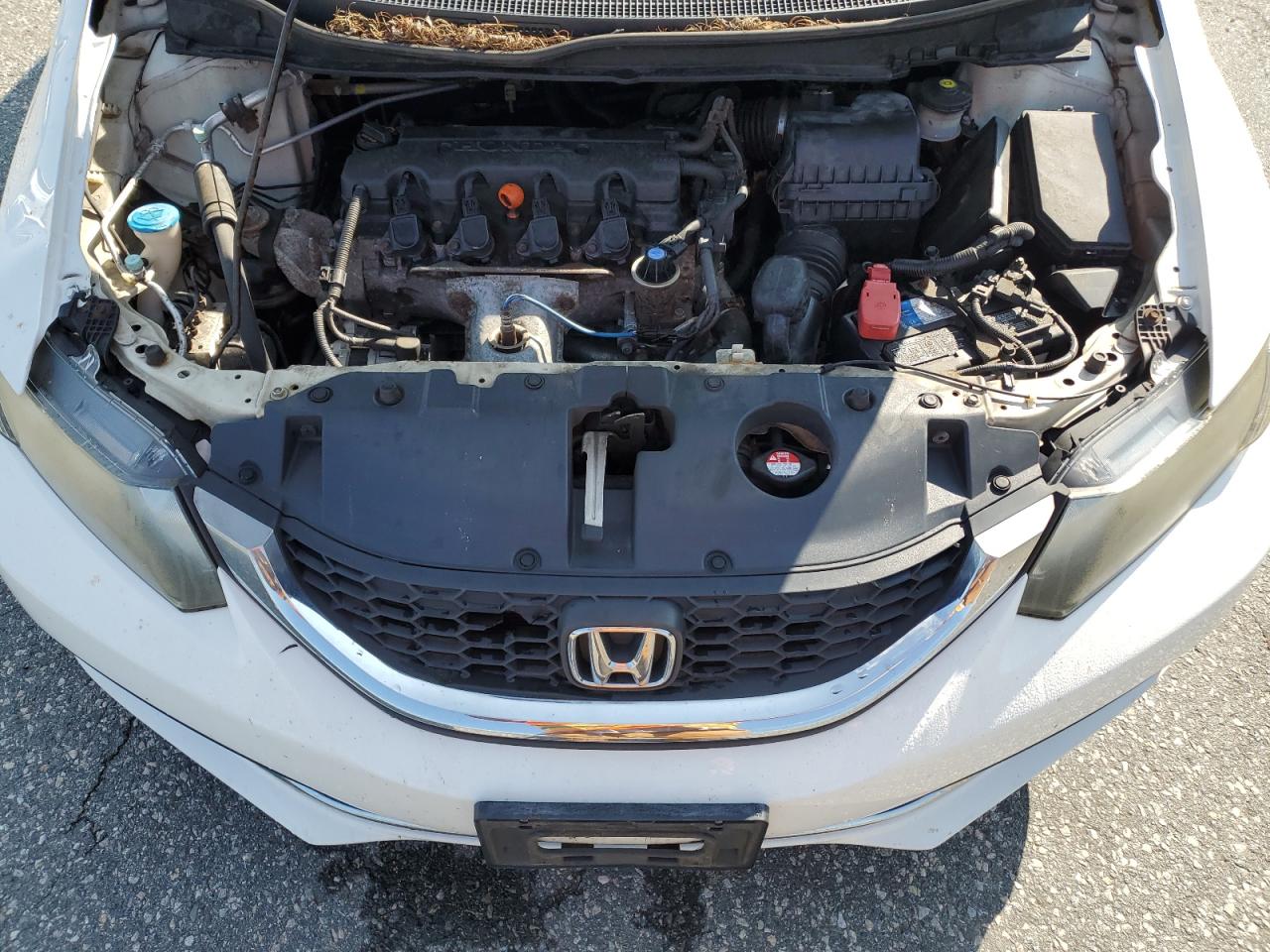 2013 Honda Civic Lx VIN: 2HGFB2F58DH505175 Lot: 80059675