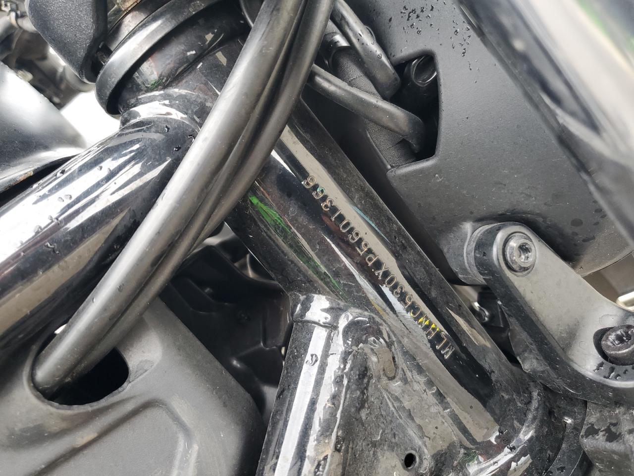 2023 Honda Cmx300 VIN: MLHNC530XP5601366 Lot: 81438375