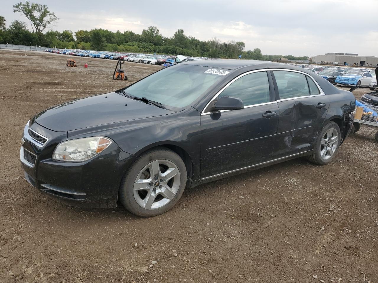 Фото авто