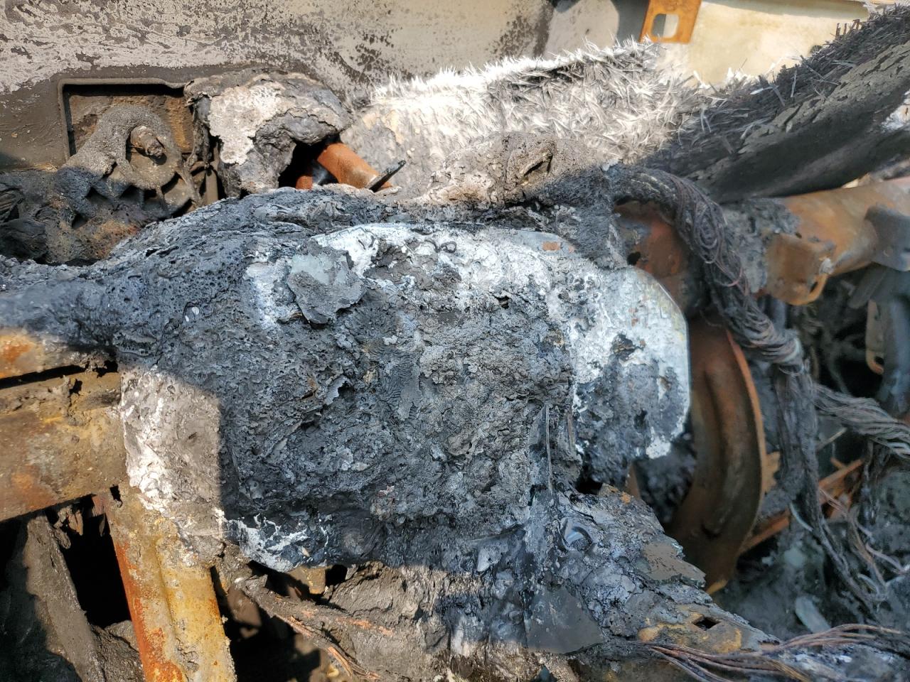 2022 Chevrolet Colorado Zr2 VIN: 1GCPTEE13N1219962 Lot: 71986965