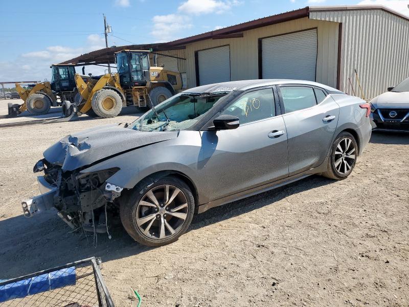  NISSAN MAXIMA 2018 Szary