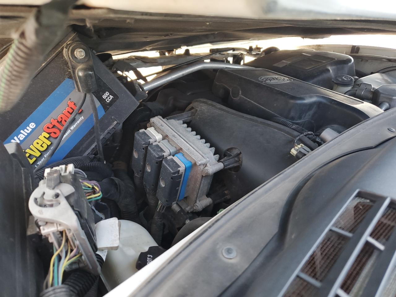 2005 Chevrolet Trailblazer Ls VIN: 1GNDS13SX52134564 Lot: 71182275