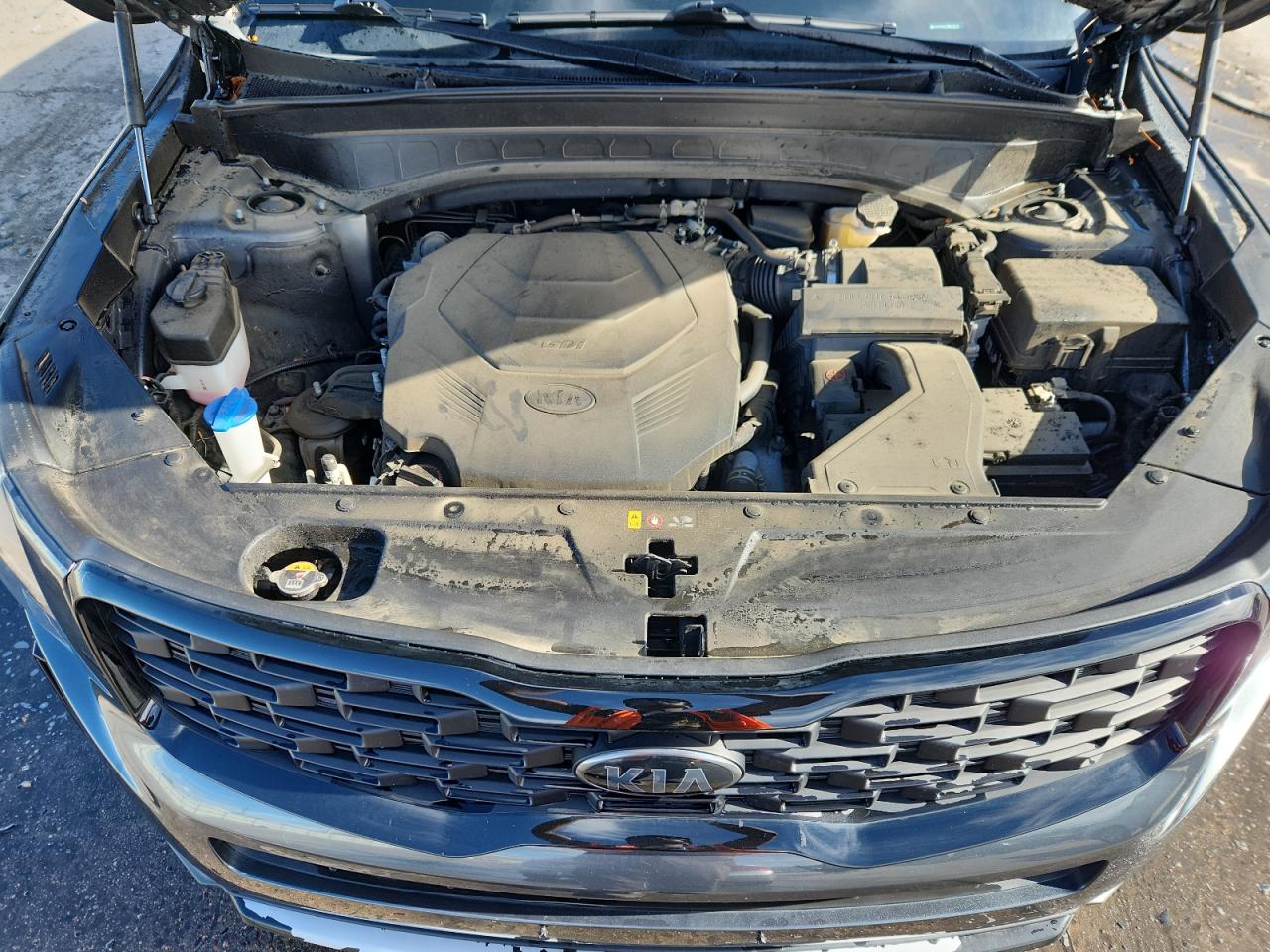 2021 Kia Telluride Ex VIN: 5XYP3DHC8MG183708 Lot: 84050345