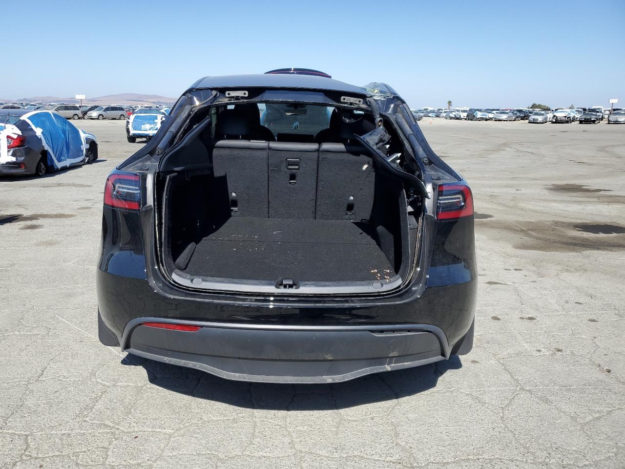 2024 Tesla Model Y VIN: 7SAYGDED0RF095274 Lot: 84260725