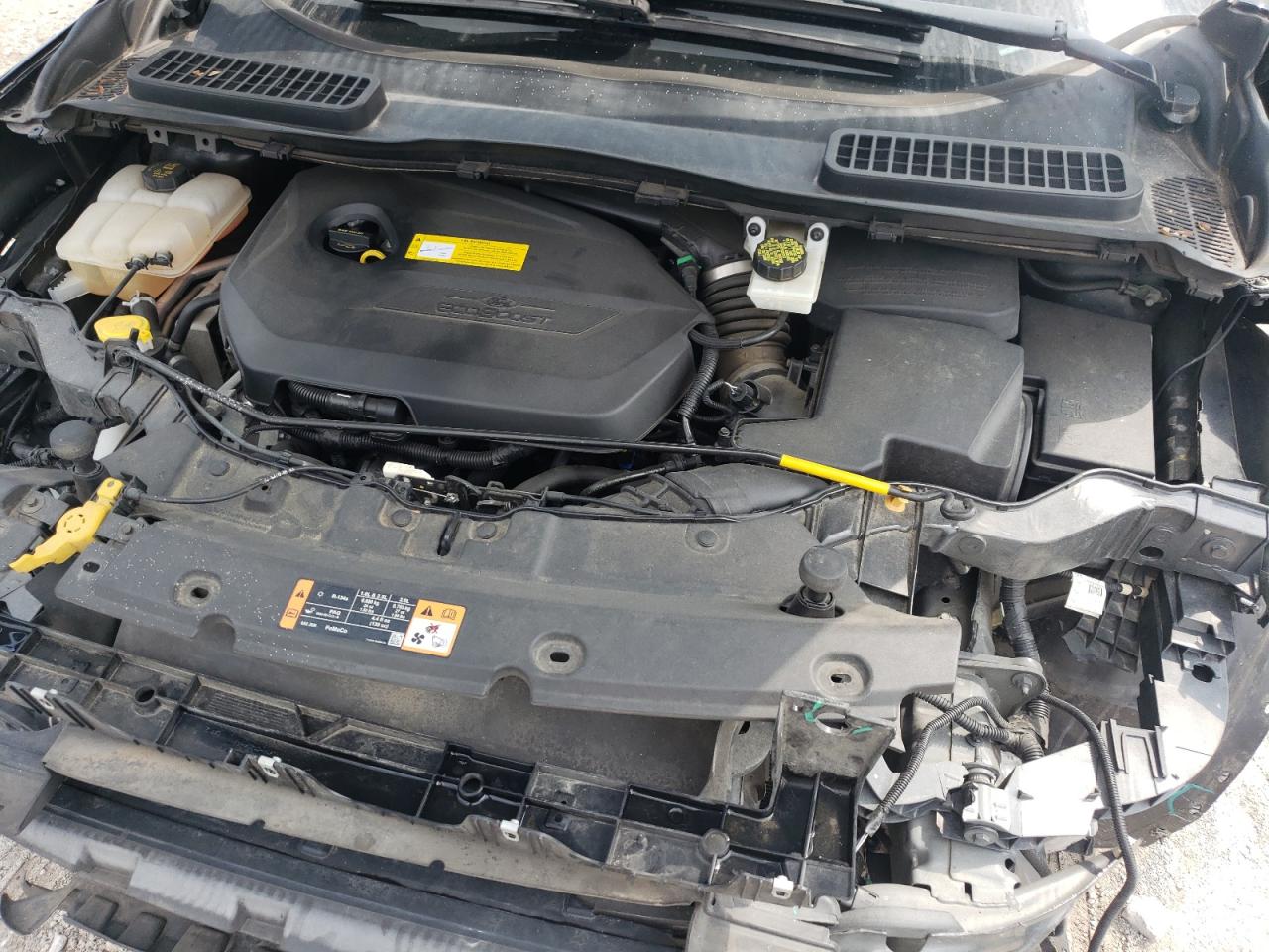 2015 Ford Escape Se VIN: 1FMCU9GXXFUB25741 Lot: 81549445