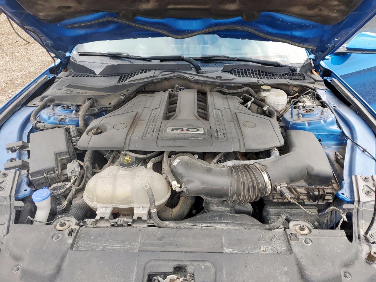 2021 Ford Mustang Gt VIN: 1FA6P8CF3M5137548 Lot: 80673955