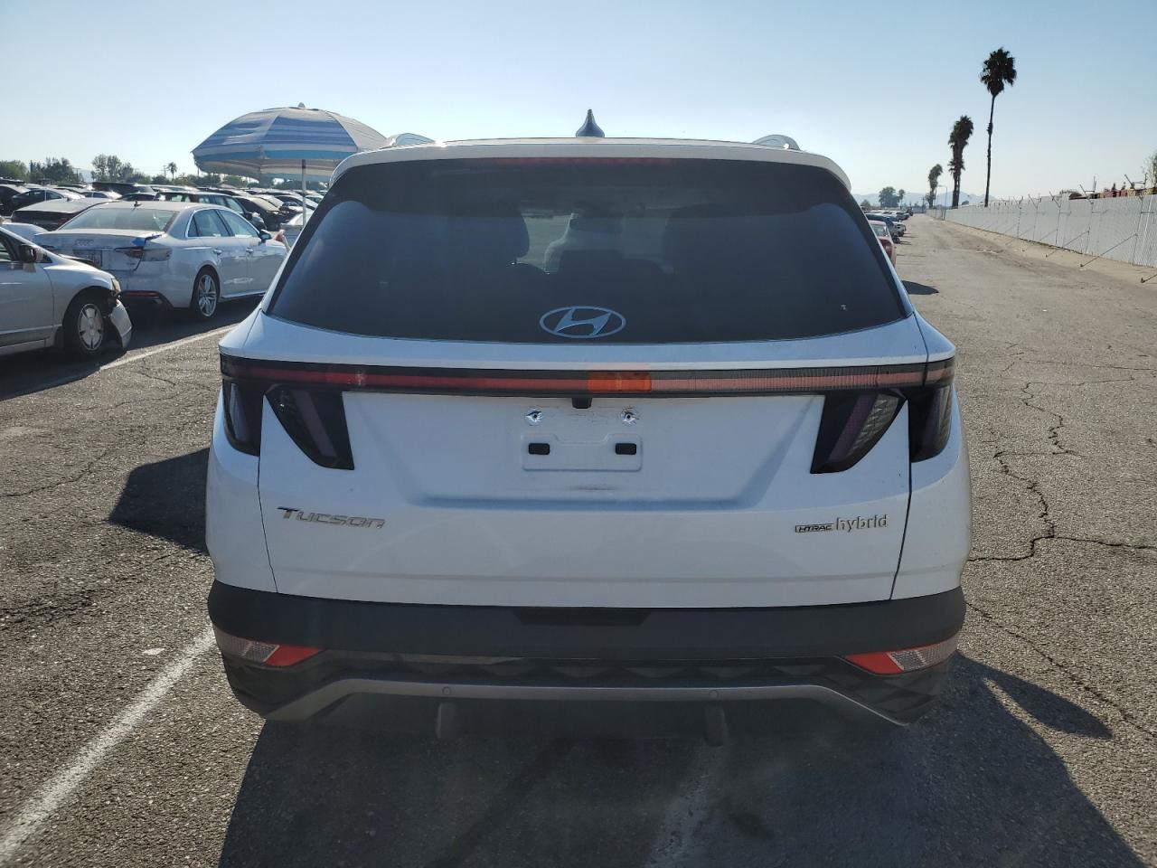2022 Hyundai Tucson Limited VIN: KM8JECA11NU031994 Lot: 80674635