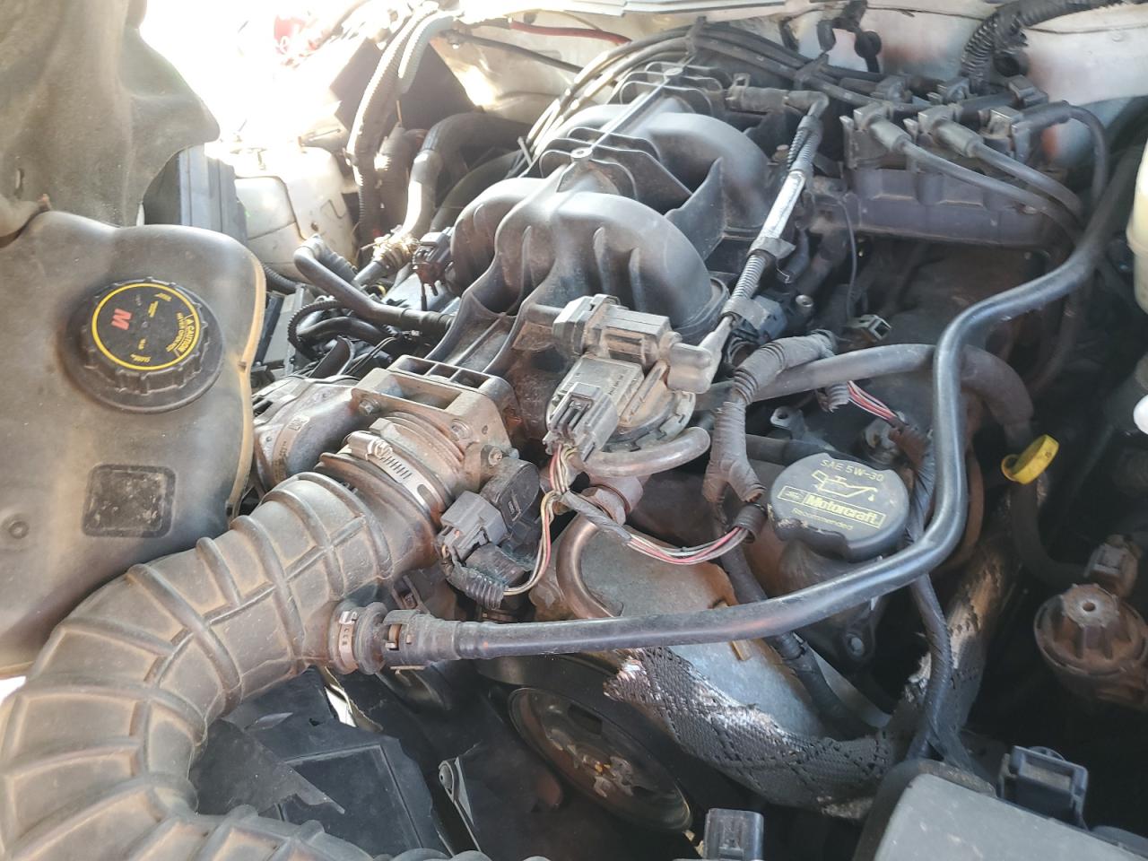 2007 Ford Mustang VIN: 1ZVFT80N575280794 Lot: 80549575