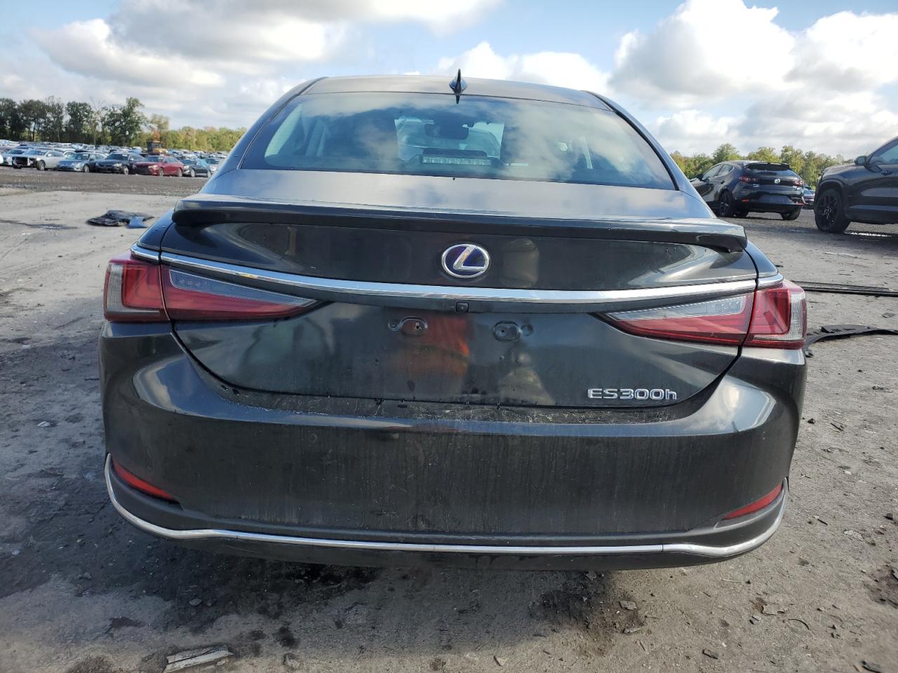 2022 Lexus Es 300H Base VIN: 58ADA1C11NU025194 Lot: 81164255