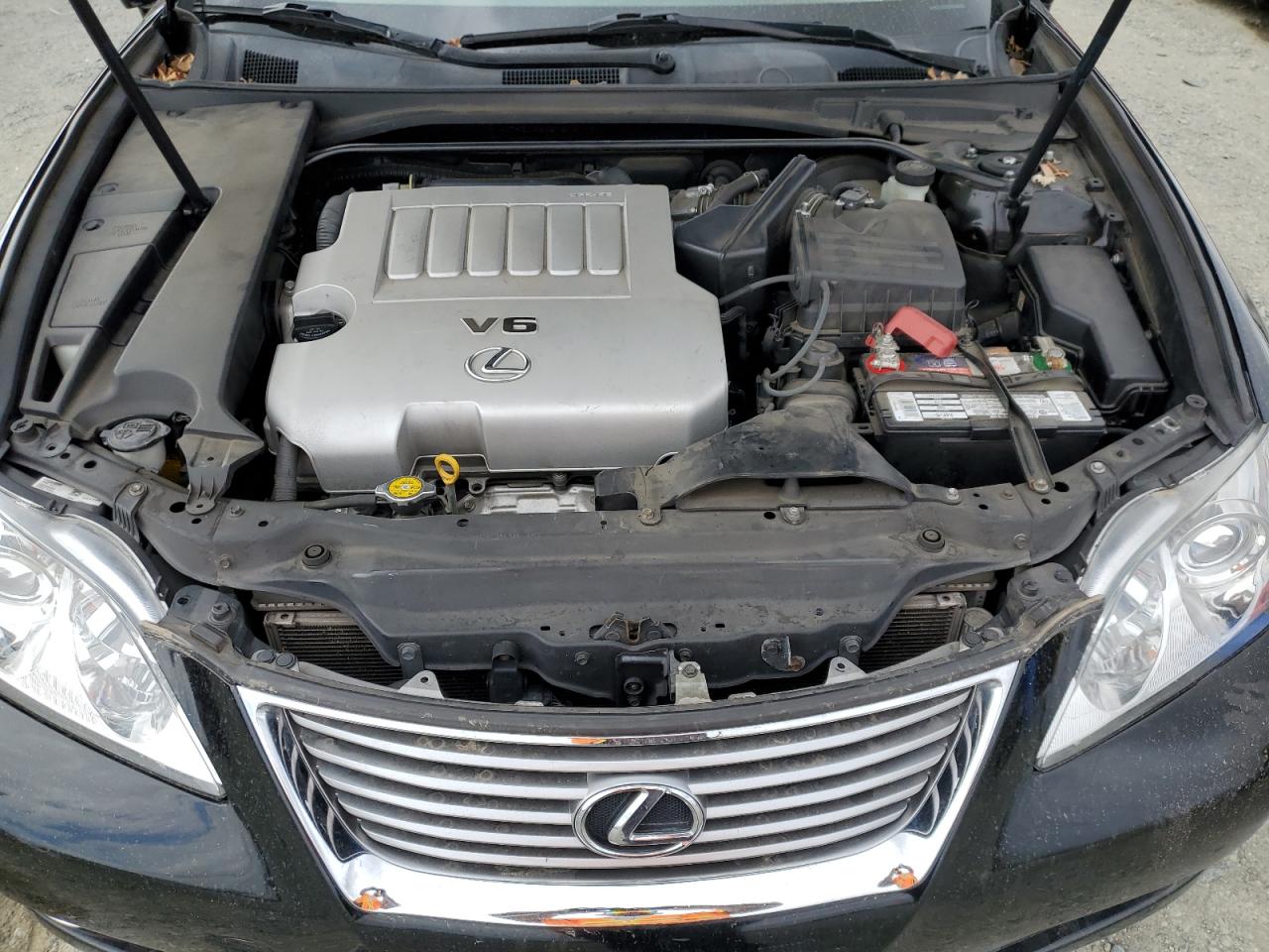 2007 Lexus Es 350 VIN: JTHBJ46G272141134 Lot: 84024475