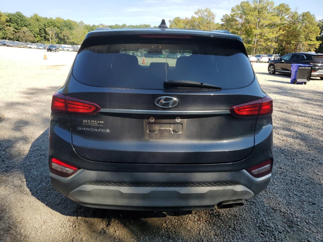 2020 Hyundai Santa Fe Sel VIN: 5NMS33AD8LH219652 Lot: 81762725