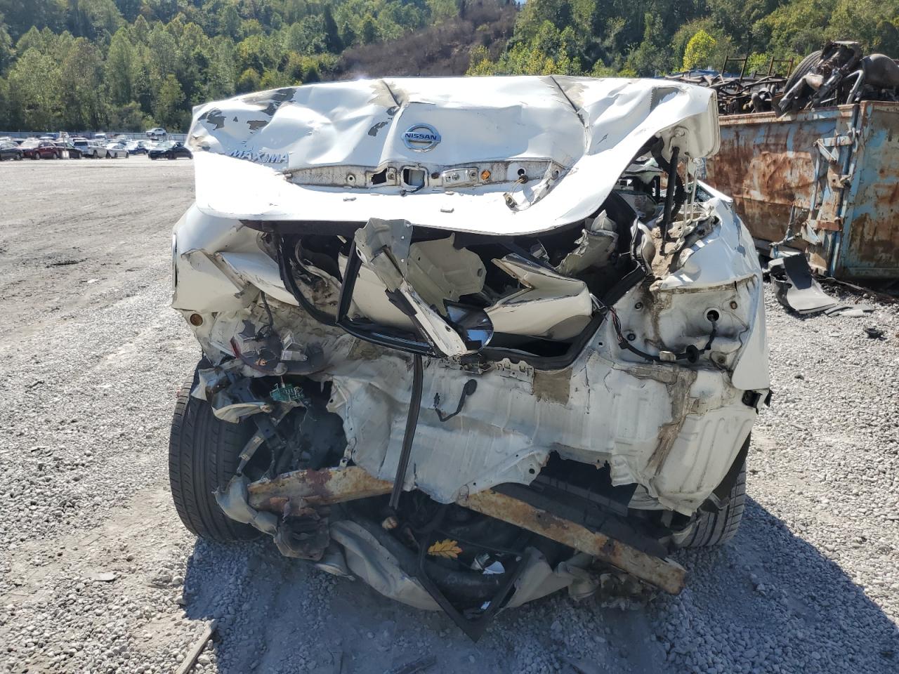 2009 Nissan Maxima S VIN: 1N4AA51E99C804274 Lot: 81321765