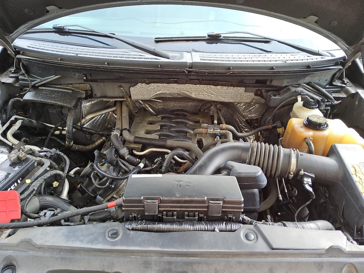 2011 Ford F150 Supercrew VIN: 1FTFW1EF1BFB94825 Lot: 71119725