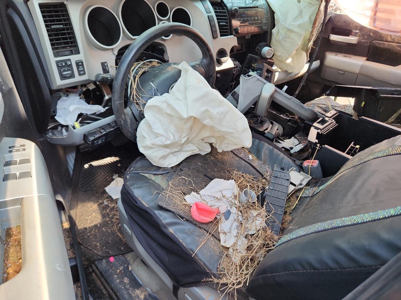 2008 Toyota Tundra Crewmax Limited VIN: 5TFEV58198X048195 Lot: 81159305