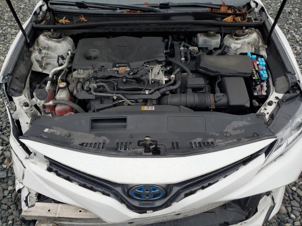 2019 Toyota Camry Le VIN: 4T1B31HK6KU006792 Lot: 82053925