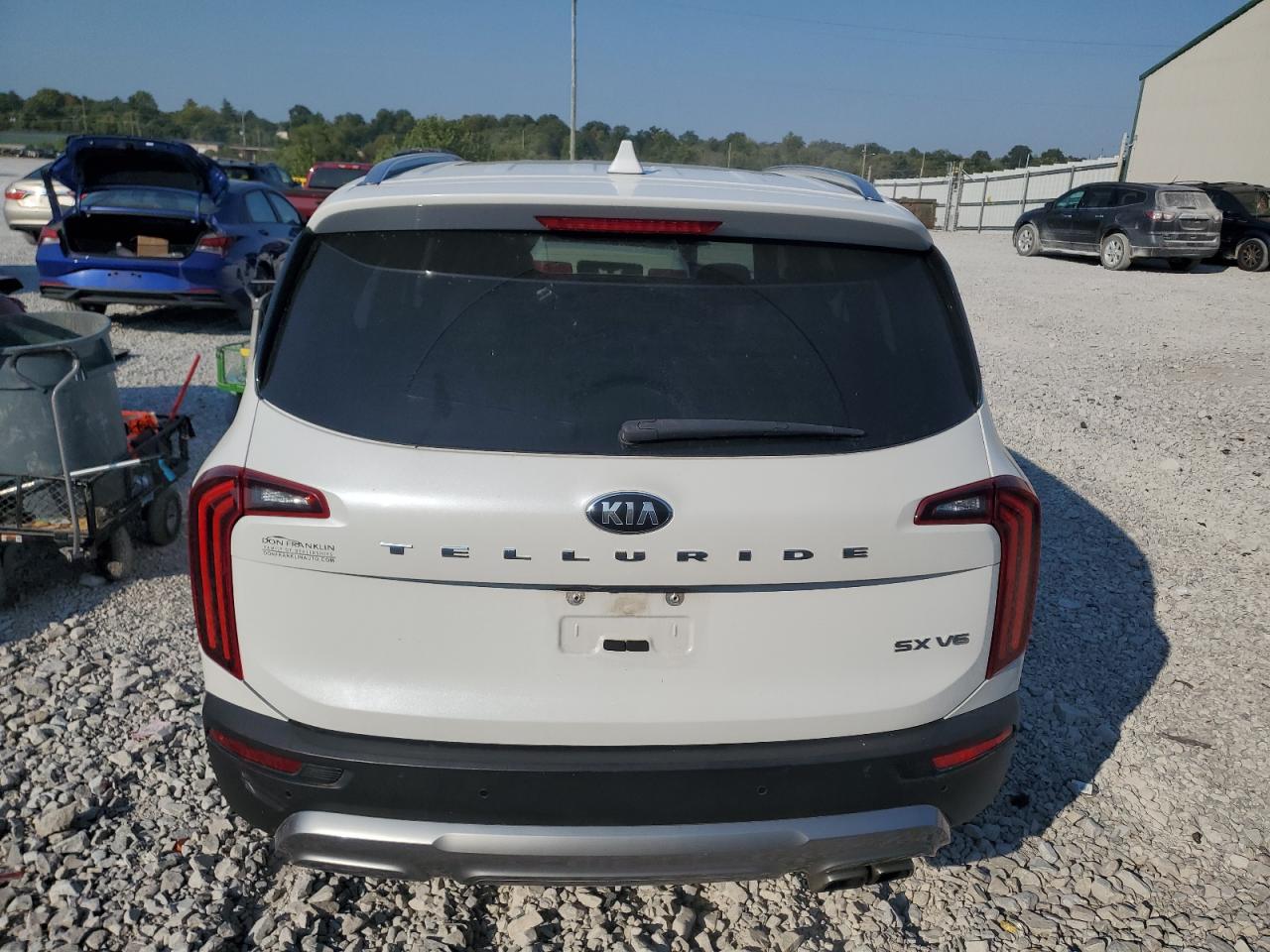 2020 Kia Telluride Sx VIN: 5XYP54HC5LG067584 Lot: 80866035