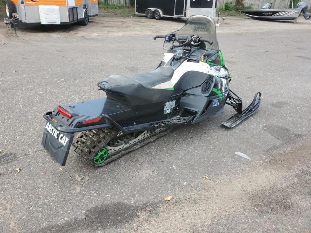 2010 ARCT SNOPRO  