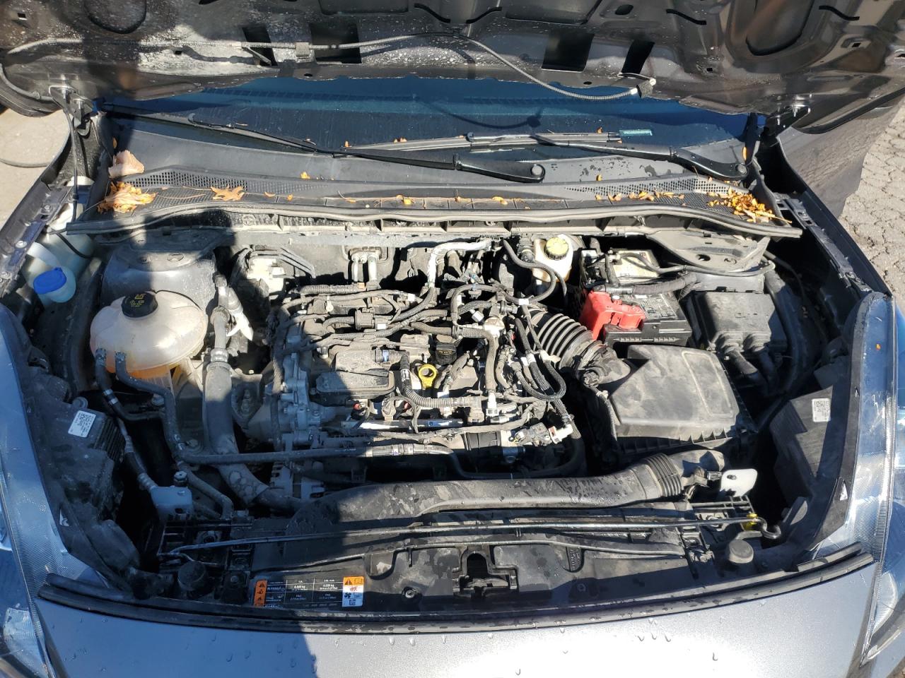 2021 Ford Escape Se VIN: 1FMCU9G6XMUB07955 Lot: 84000685