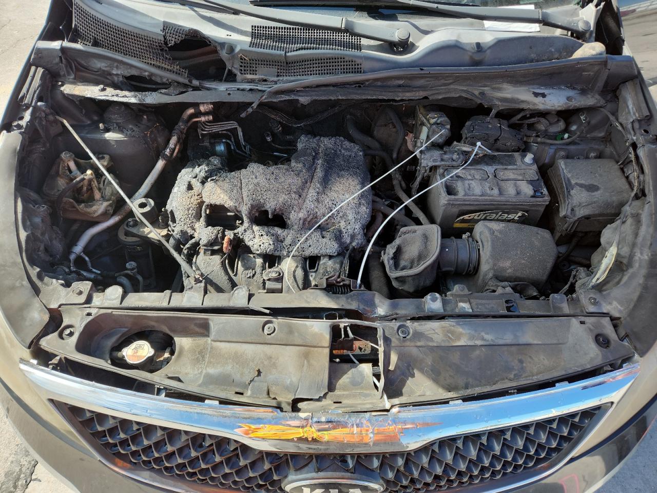 2014 Kia Sportage Lx VIN: KNDPBCAC1E7639294 Lot: 81767205