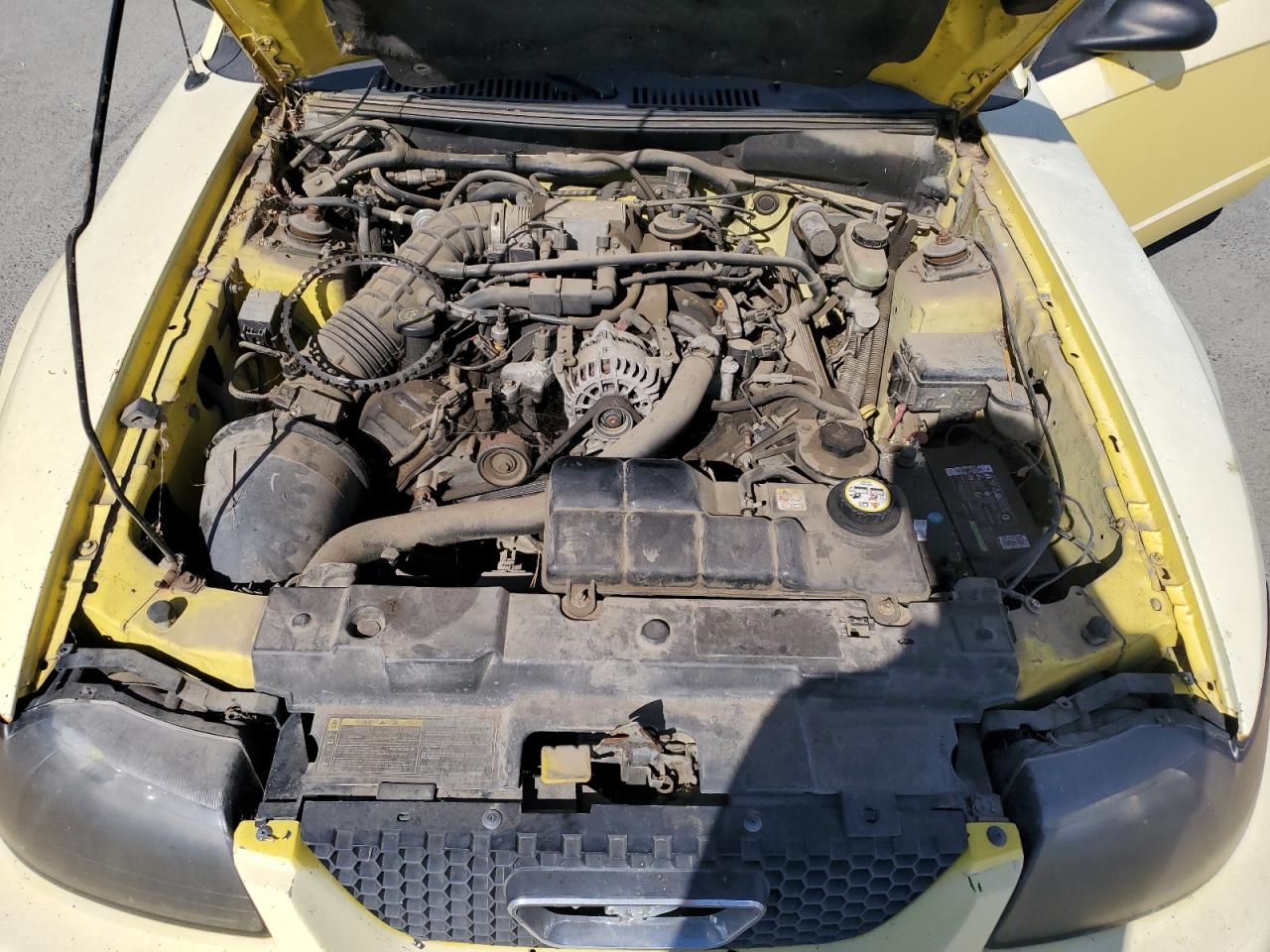 2001 Ford Mustang Gt VIN: 1FAFP42X81F248461 Lot: 71045885